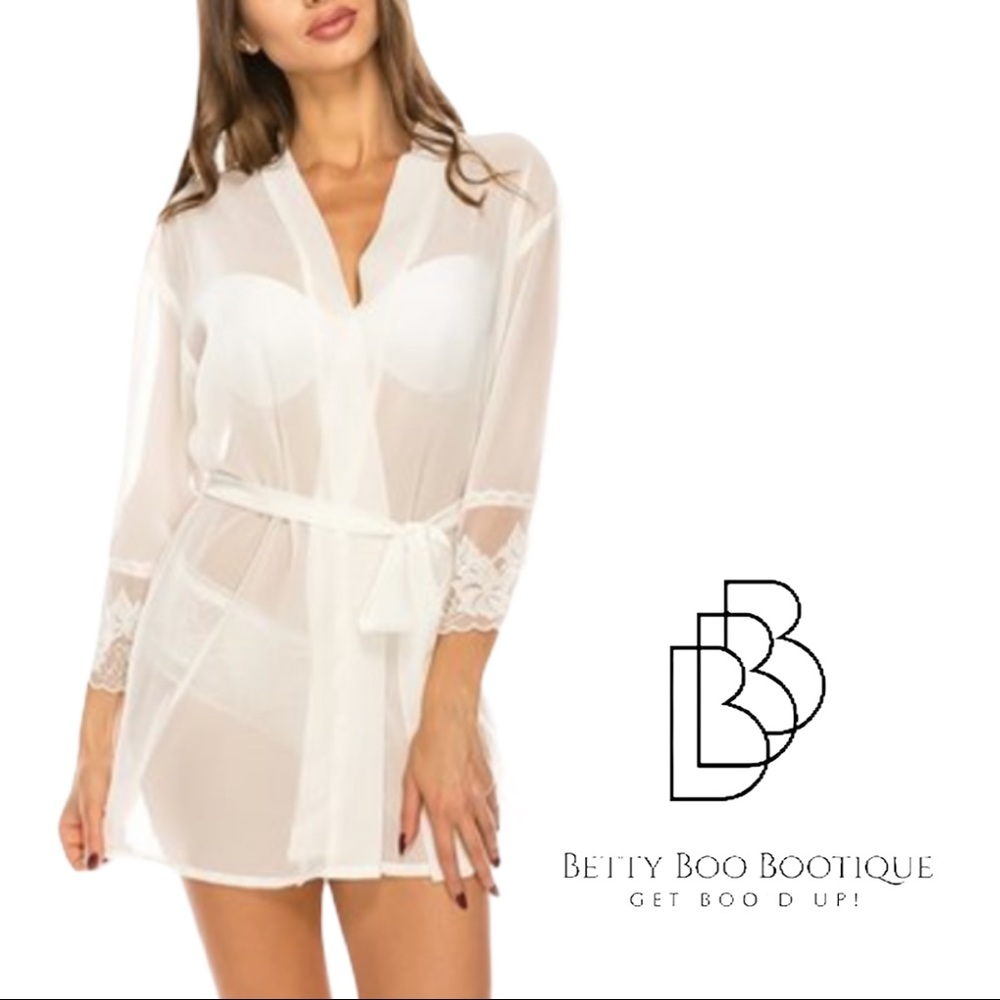 Sheer Mesh Robe Lace Trimmed Sleeves NEW!